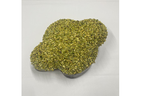 Colomba al pistacchio 2