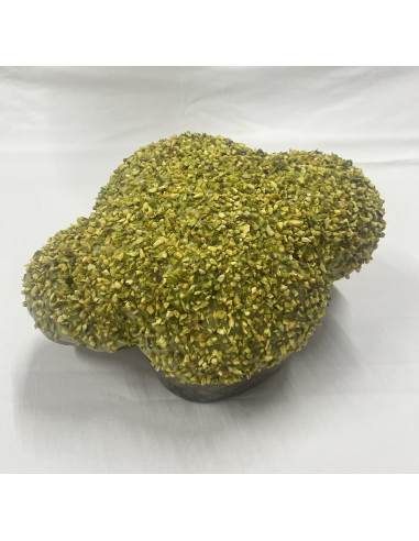 Colomba al pistacchio